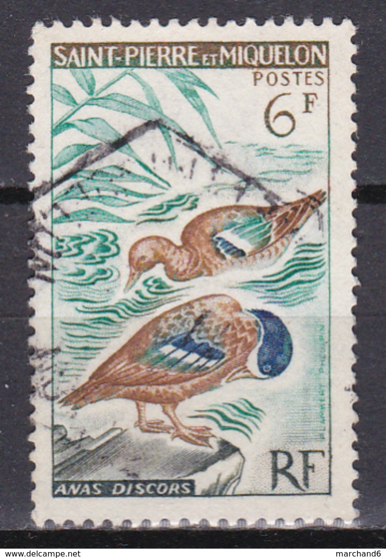 Saint Pierre Et Miquelon Oiseaux Sarcelles N°367 Oblitéré - Usados