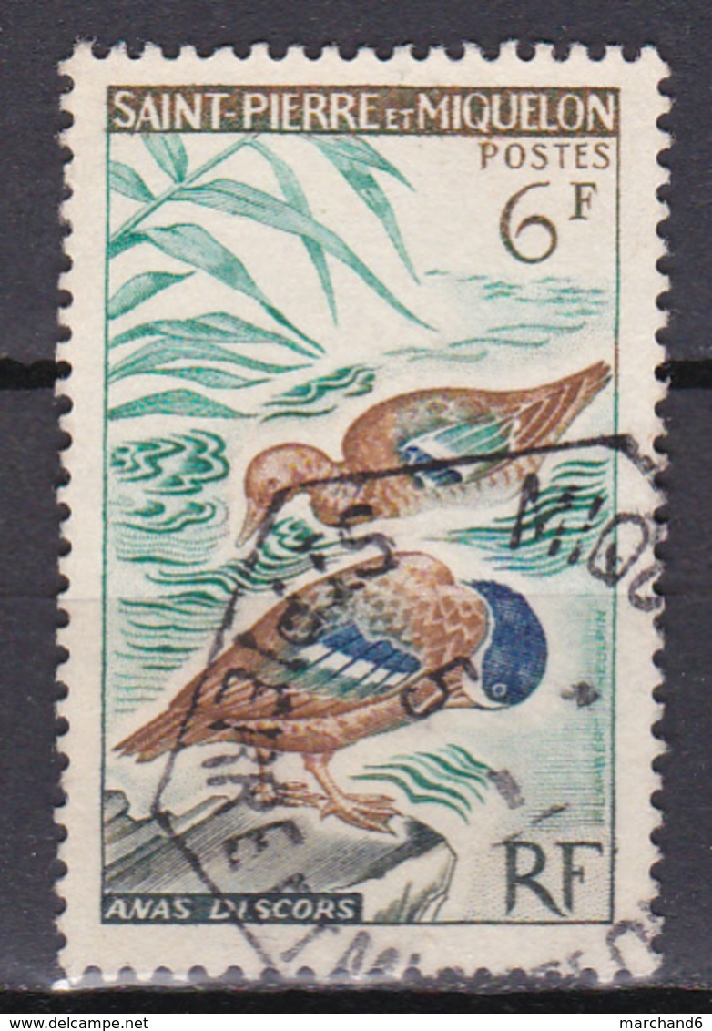 Saint Pierre Et Miquelon Oiseaux Sarcelles N°367 Oblitéré - Oblitérés