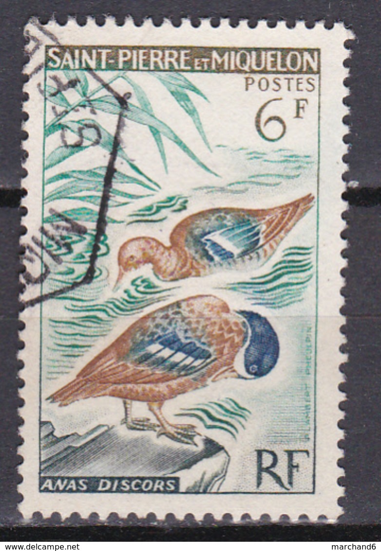 Saint Pierre Et Miquelon Oiseaux Sarcelles N°367 Oblitéré - Gebraucht