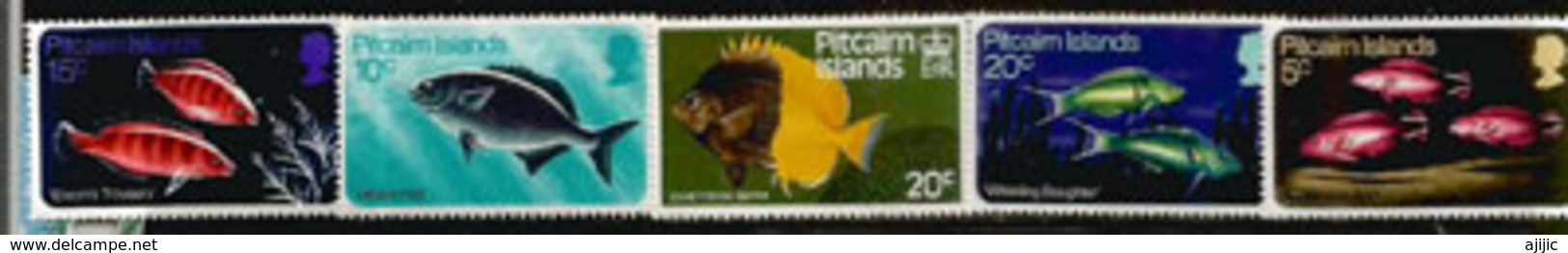 Poissons Des Rivages Des îles Pitcairn.  Série 5 Timbres Neufs **  Côte 19,00  € - Pitcairn