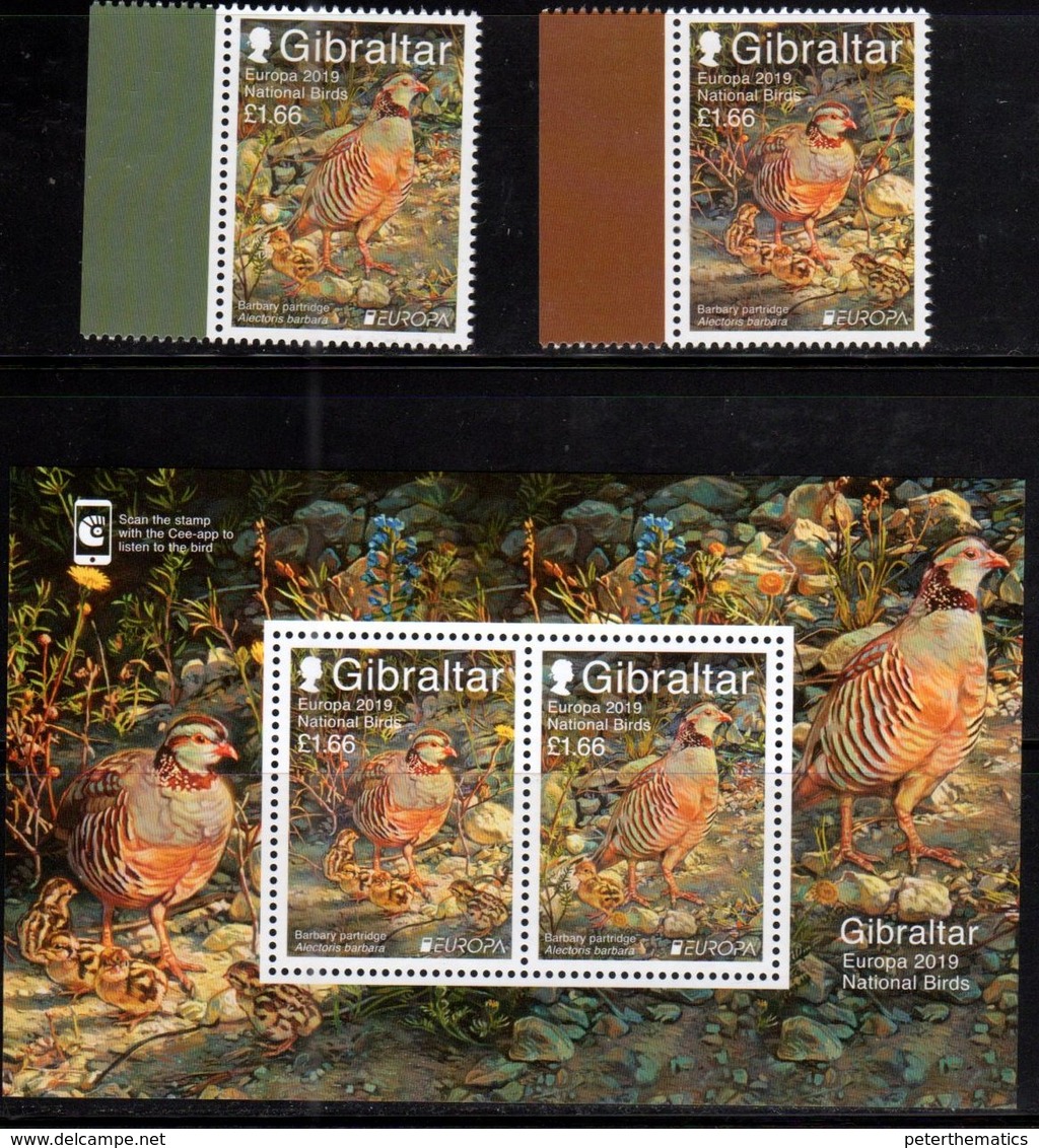 GIBRALTAR, 2019, MNH, EUROPA, BIRDS, 2v+ SHEETLET - 2019