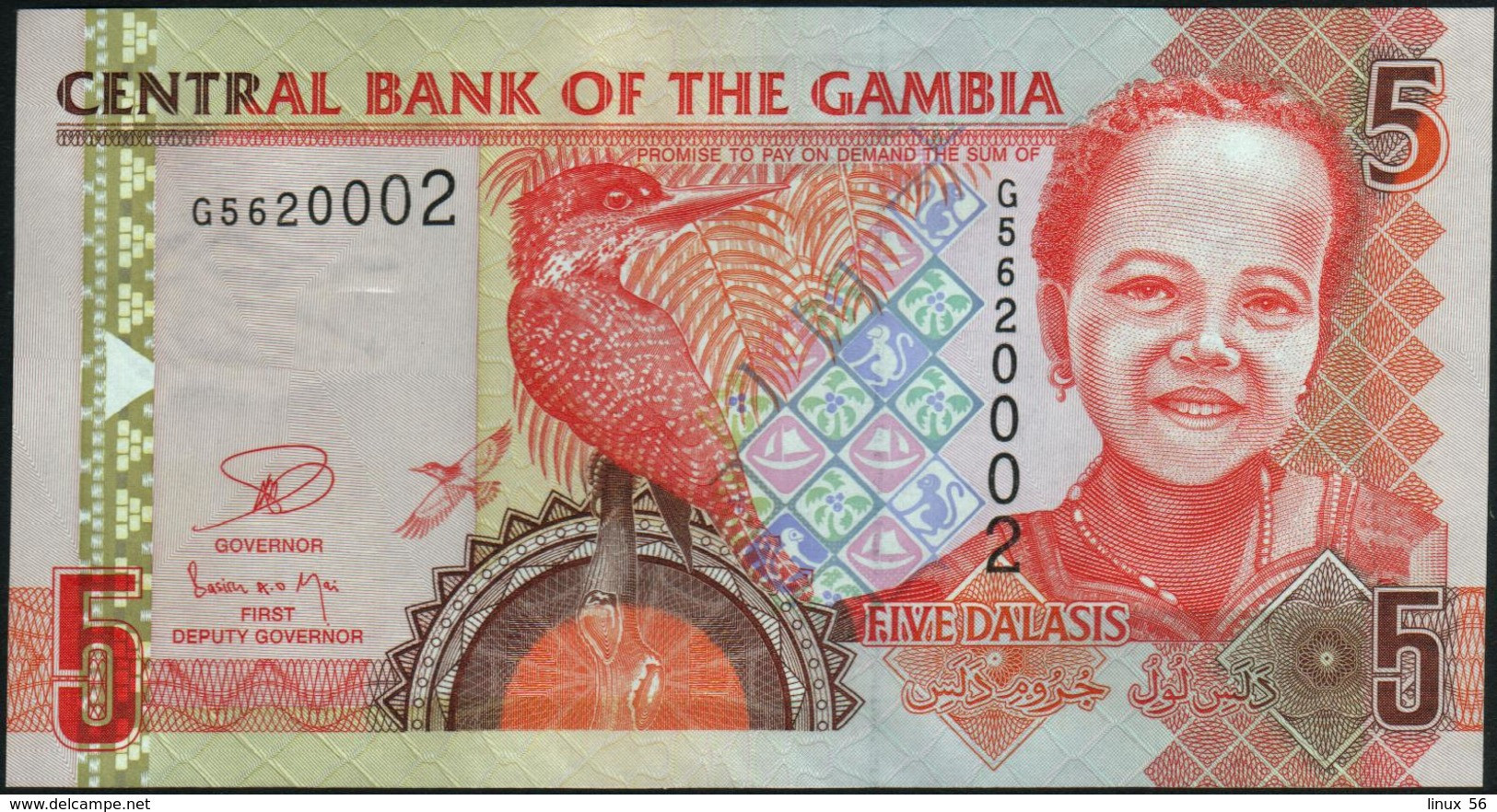 GAMBIA - 5 Dalasis Nd.(2006-2014) UNC P.25 C - Gambia