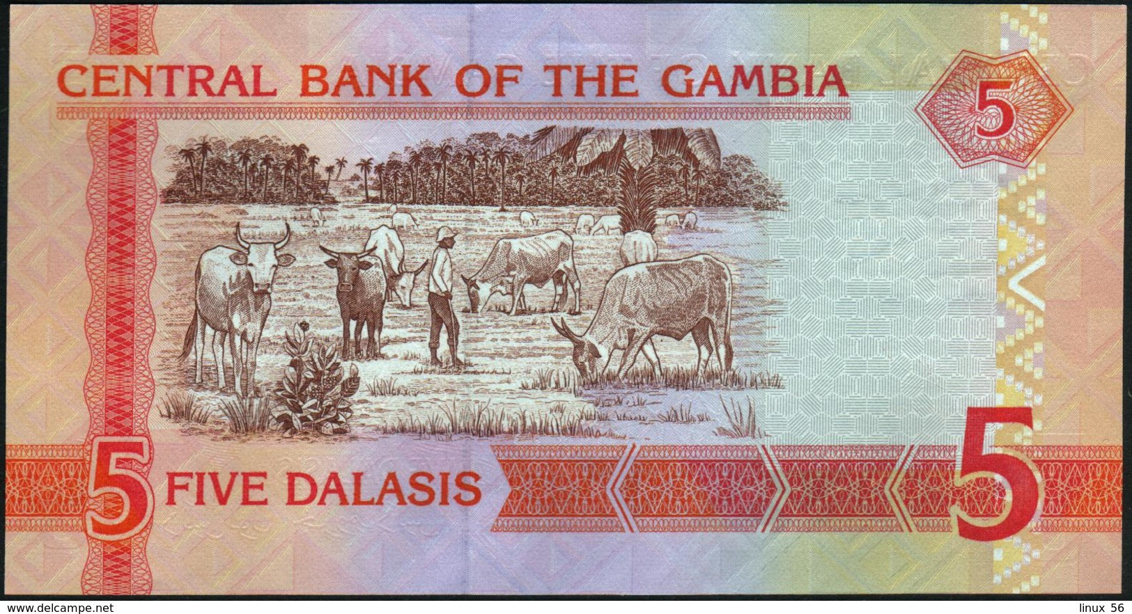 GAMBIA - 5 Dalasis Nd.(2006-2014) UNC P.25 C - Gambia