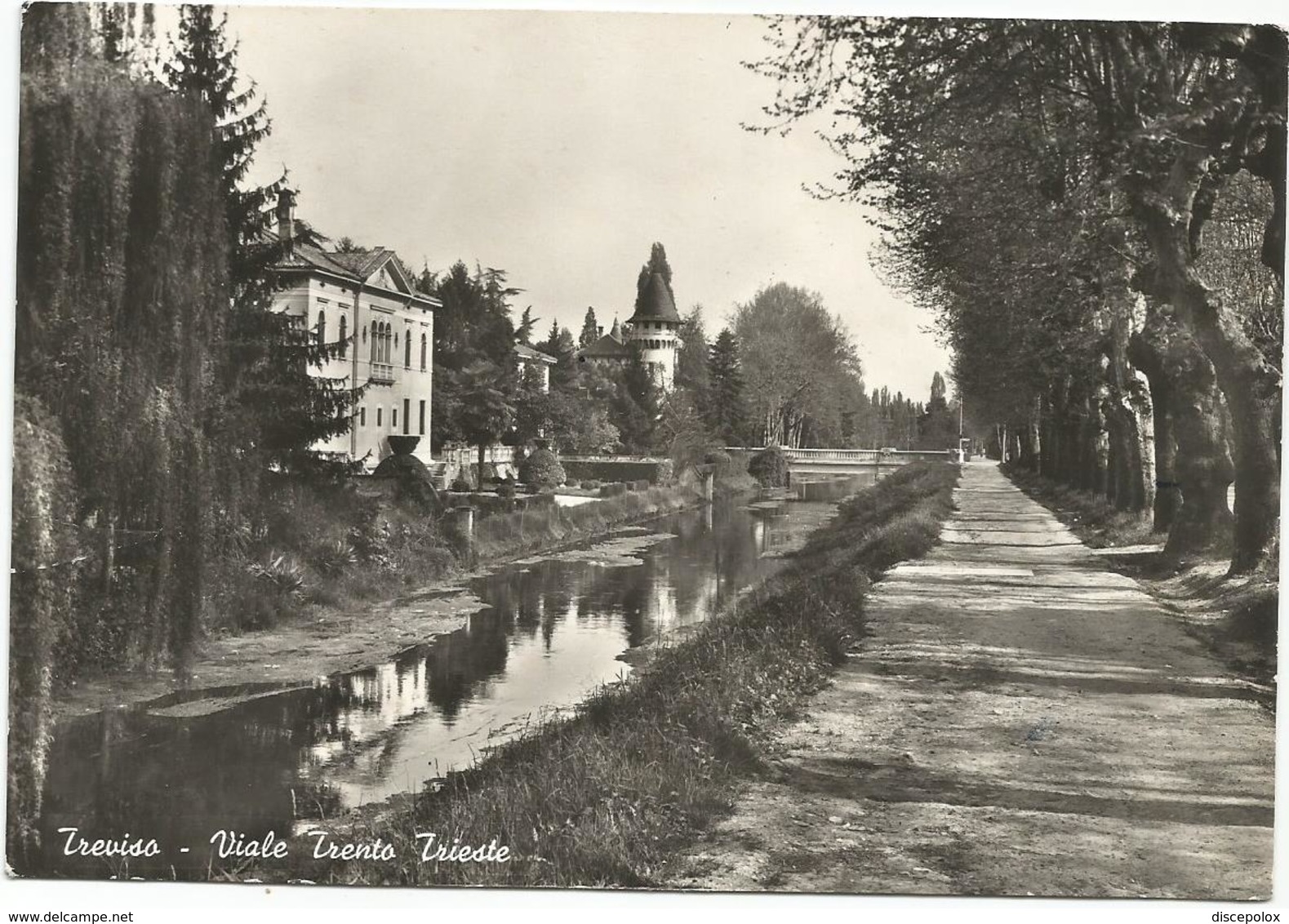 W1862 Treviso - Viale Trento E Treste / Viaggiata 1962 - Treviso