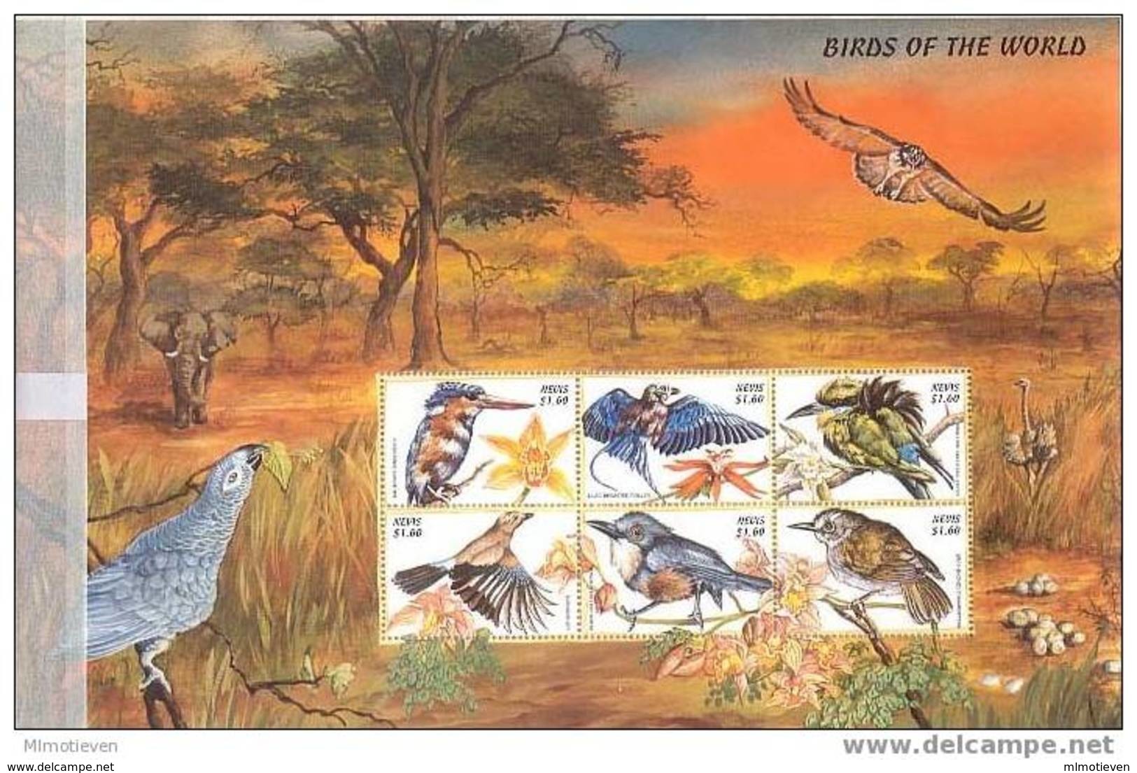 MDB-BK1-401 MINT POSTFRIS ¤ NEVIS 1999 6w In Serie ¤ OISEAUX - BIRDS OF THE WORLD - VOGELS - VÖGEL - AVES - Songbirds & Tree Dwellers