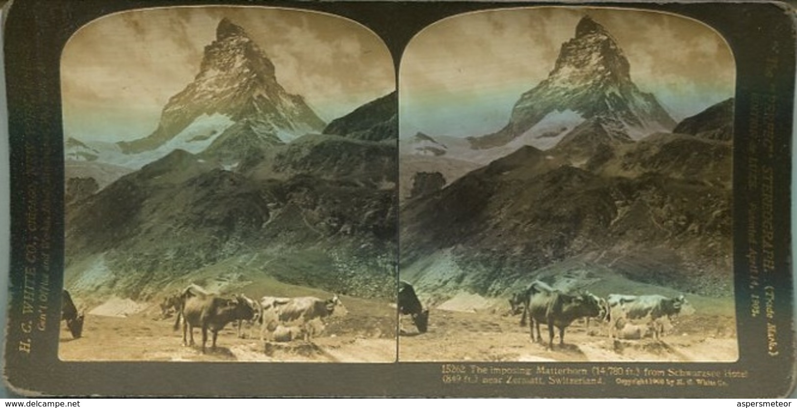 MATTERHORN FROM SCHWARZSEE HOTEL NEAR ZERMATT, SWITZELAND - "PERFEC" STEREOGRAPH YEAR 1903 STEREOSCOPIC PHOTO - LILHU - Stereoscopic