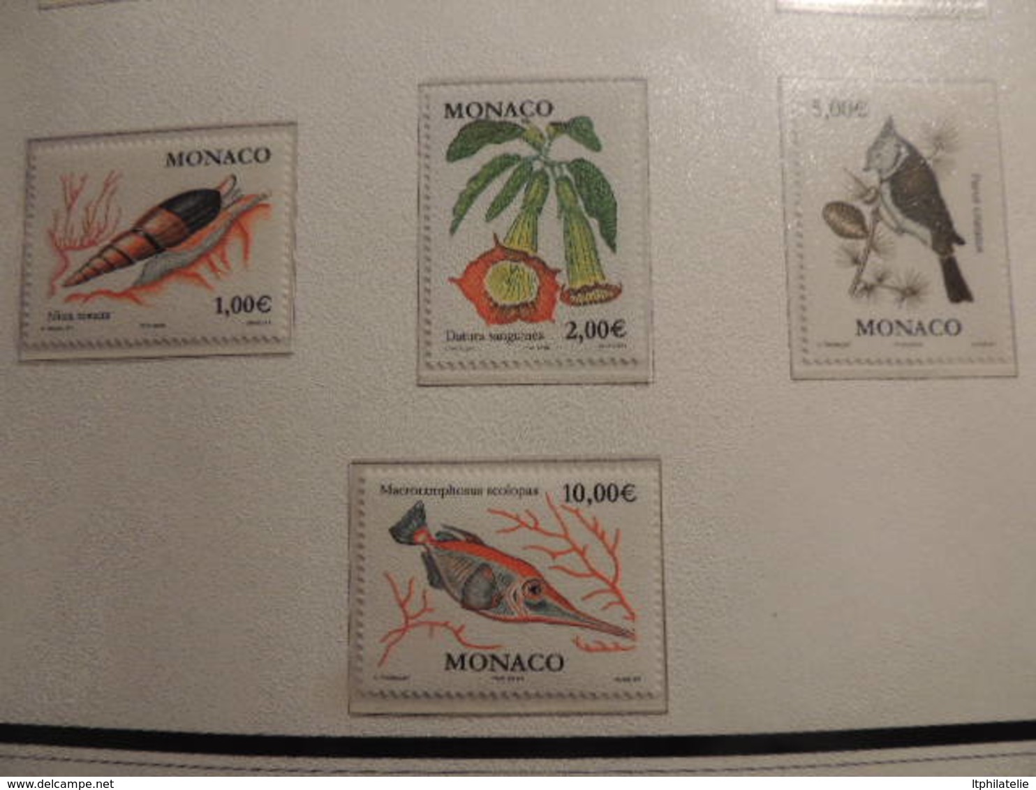 *AFFAIRE" COLLECTIO MONACO     2001 A 2004   TIMBRES NEUFS BLOCS FORTE FACIALE EURO  DANS CLASSEUR 30 PAGES