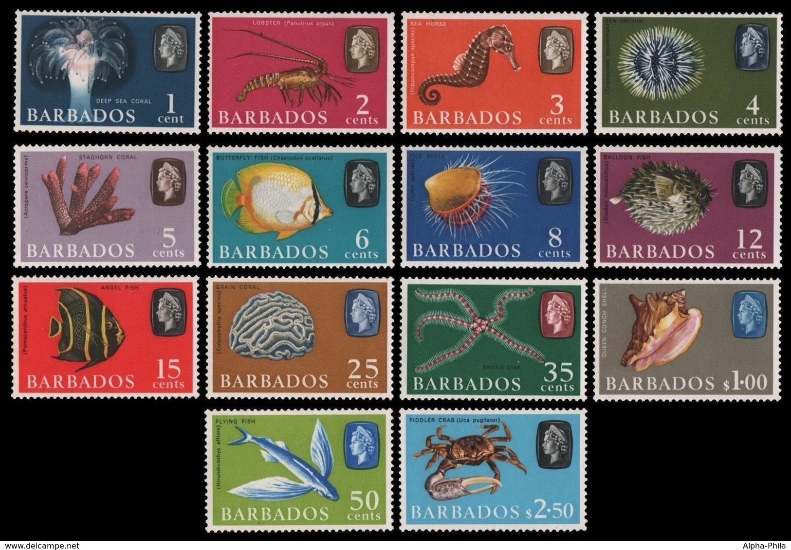 Barbados 1965 - Mi-Nr. 235-248 ** - MNH - Meeresleben / Marine Life - Barbados (1966-...)