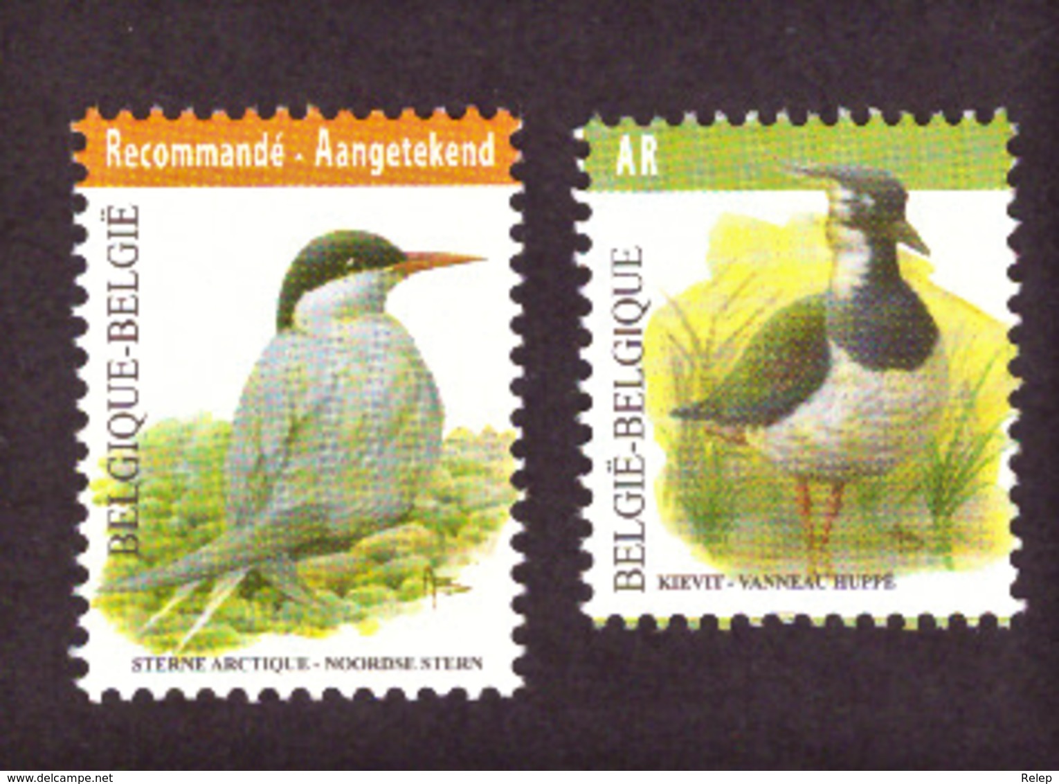 Belgique 2013  Birds - Registrered Letter Stamp " Recommandé Cat.v € 12.00 Neuf - Neufs