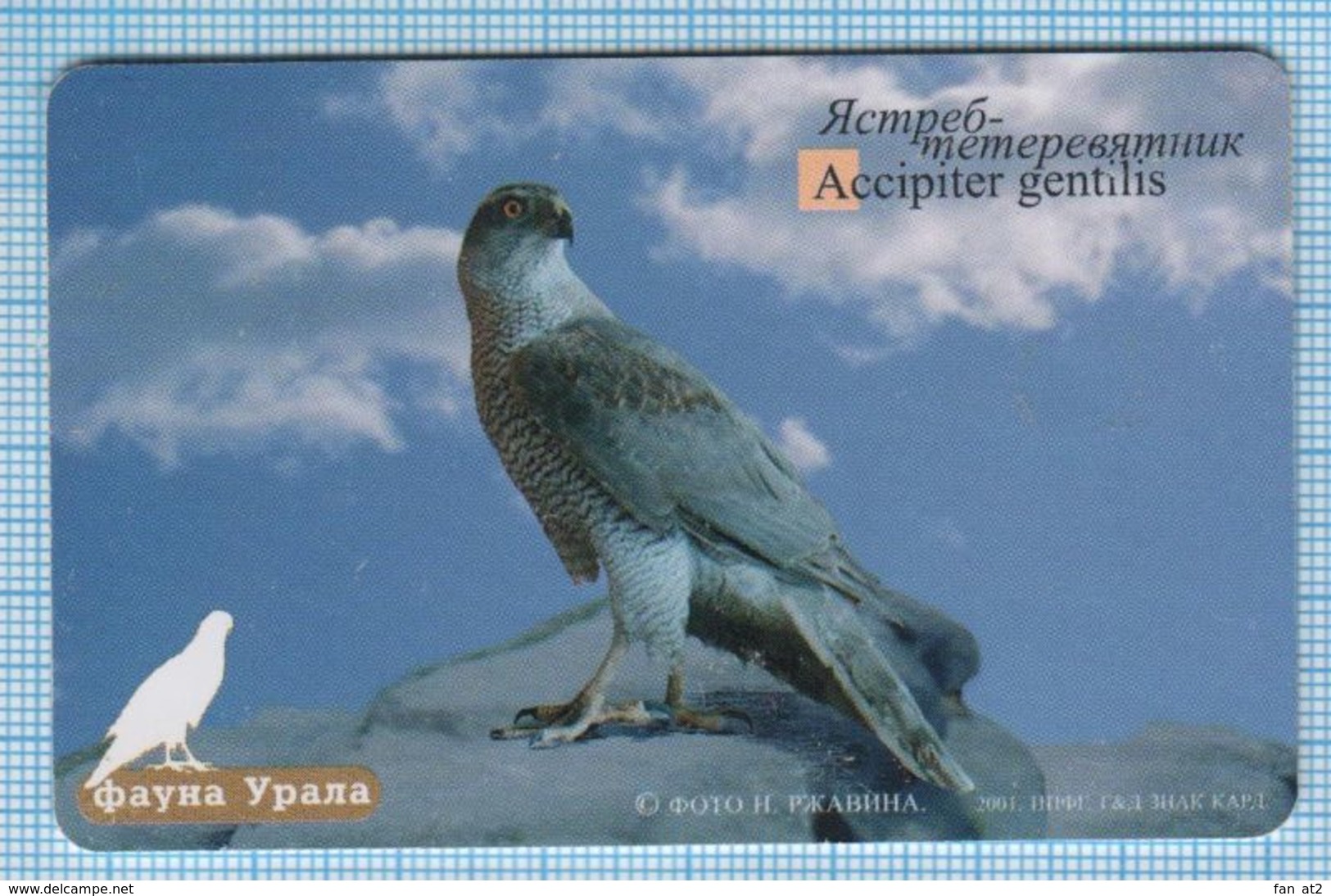 RUSSIA / Sverdlovsk Region / Phonecard / Phone Card / Fauna Of The Urals. Bird. Hawk. 2002 - Russie