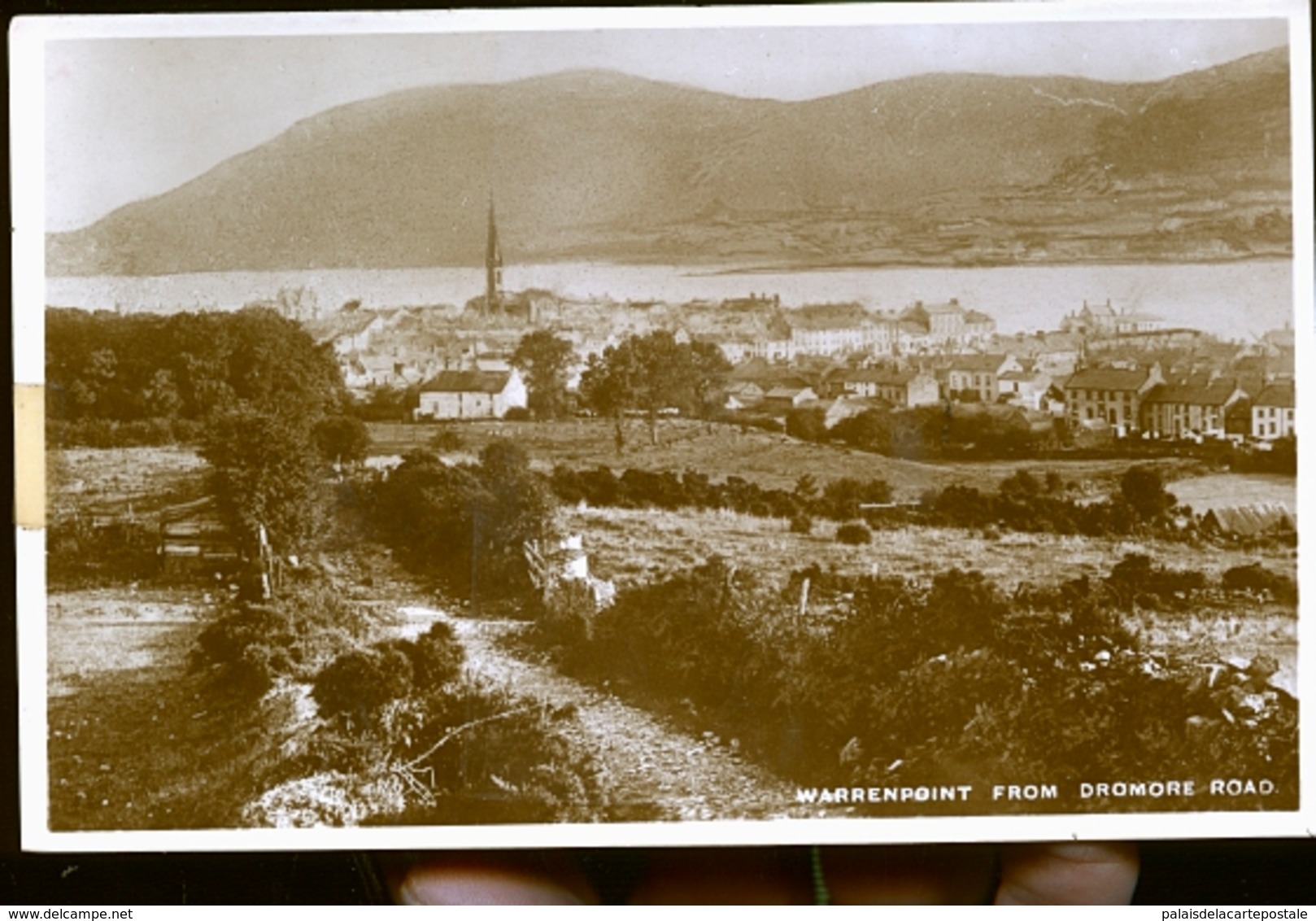 WARRENPOINT                PHOTO CARTE - Autres & Non Classés