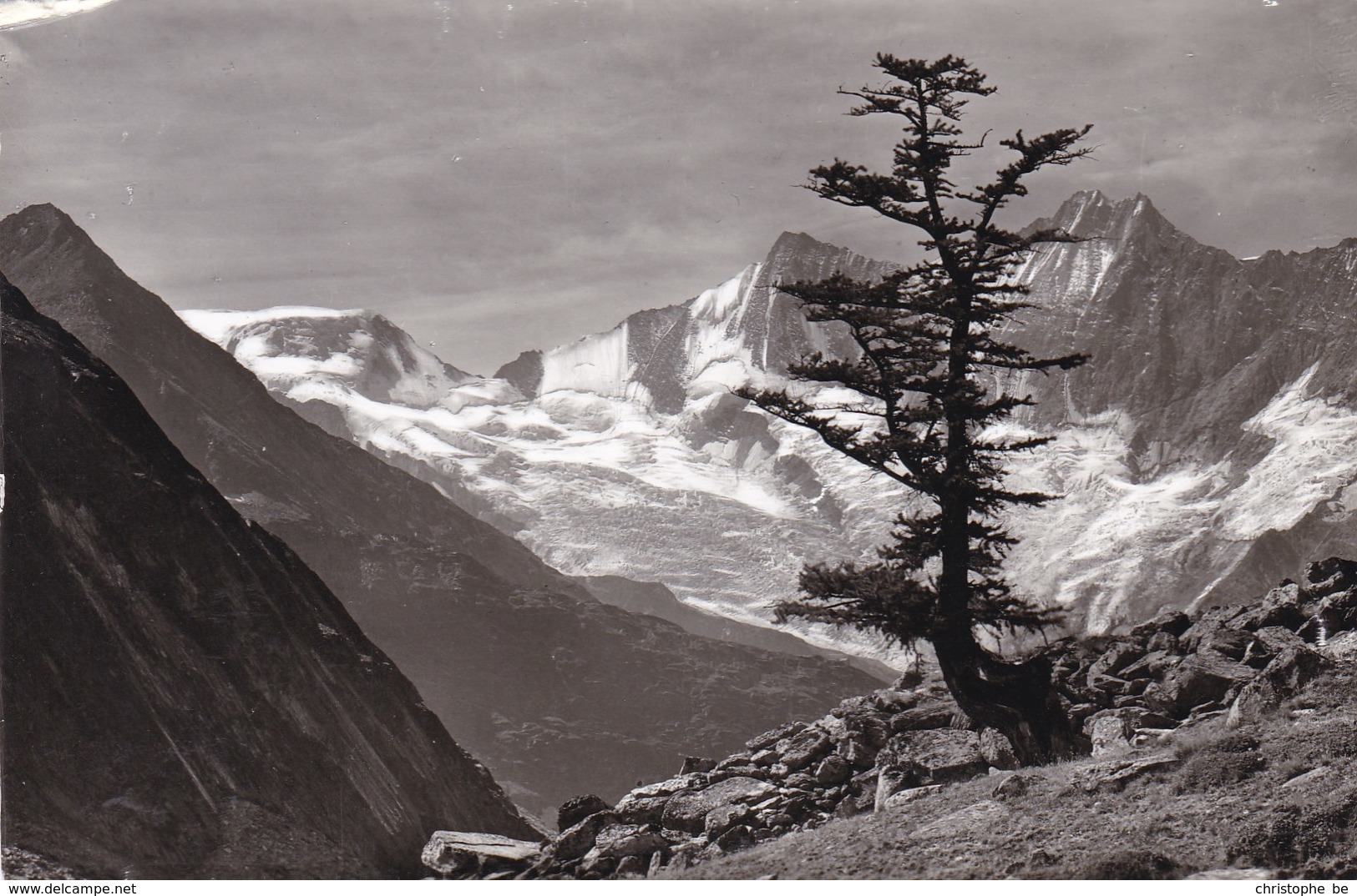 Saas Almagell, Almagelleralp, Alphubel, Täschhorn, Dom (pk56778) - Täsch