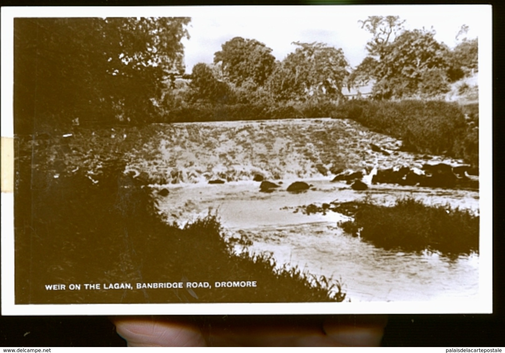 DROMORE           PHOTO CARTE - Other & Unclassified