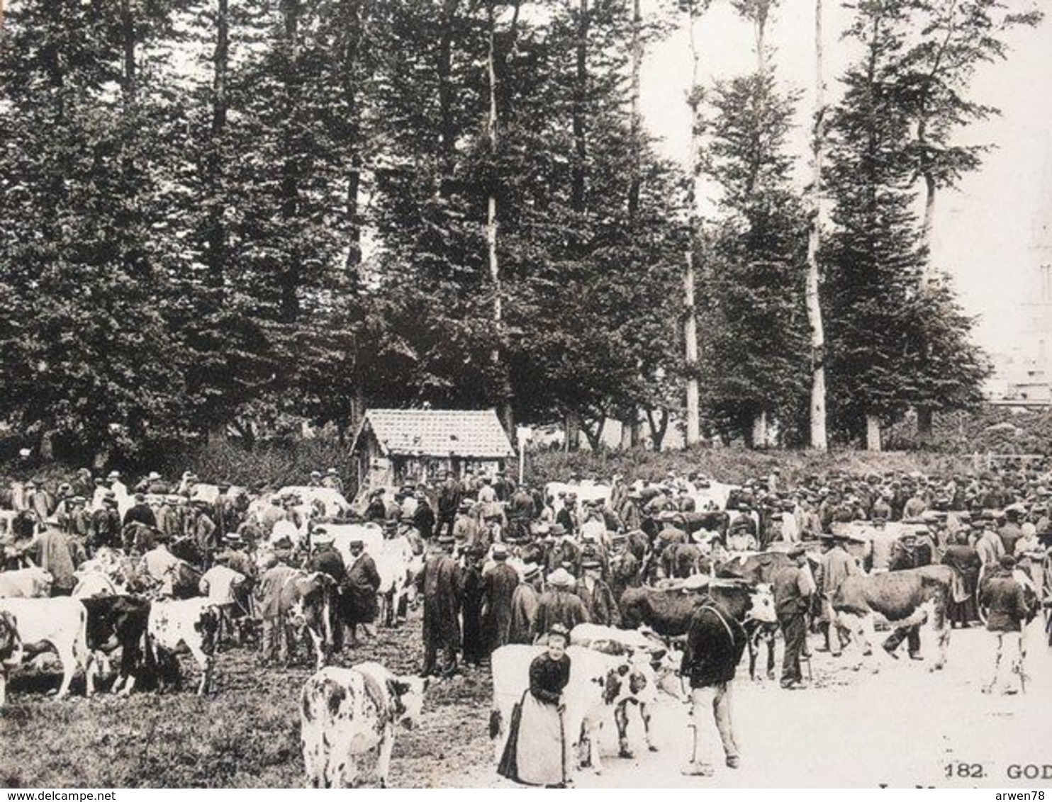 foires populaires de normandie livre illustré  de cartes postales