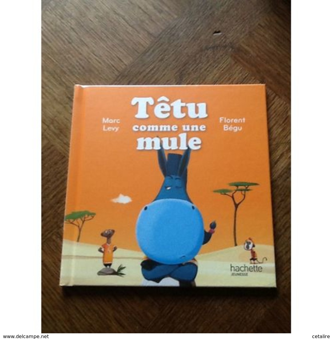 Tetu Comme Une Mule Marc Levy  +++TBE+++ PORT GRATUIT - Hachette