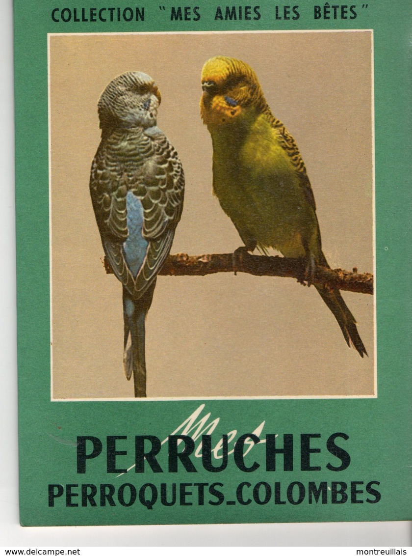 Mes Amis Les Bêtes, PERRUCHES, Perroquets, Colombes, 30 Pages, De 1967, élevage, Alimentation - Animaux