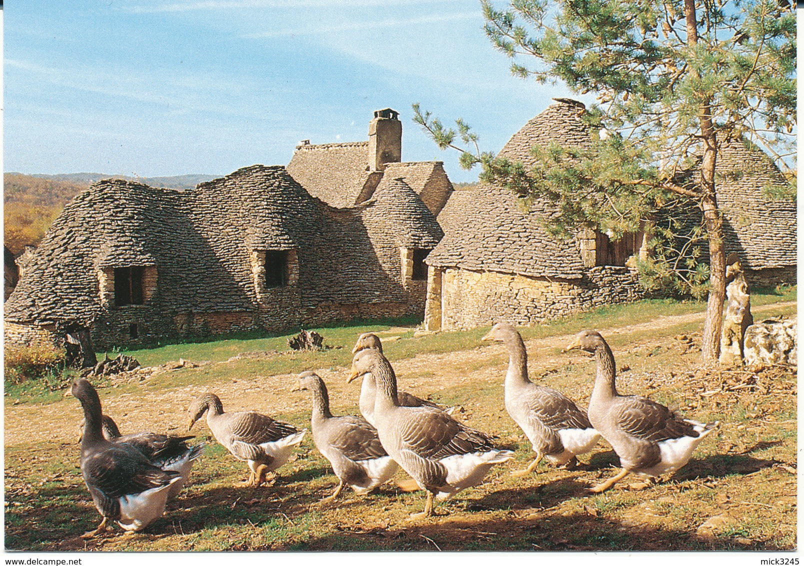 Oies En Périgord- Cabanes De Breuil - Fermes