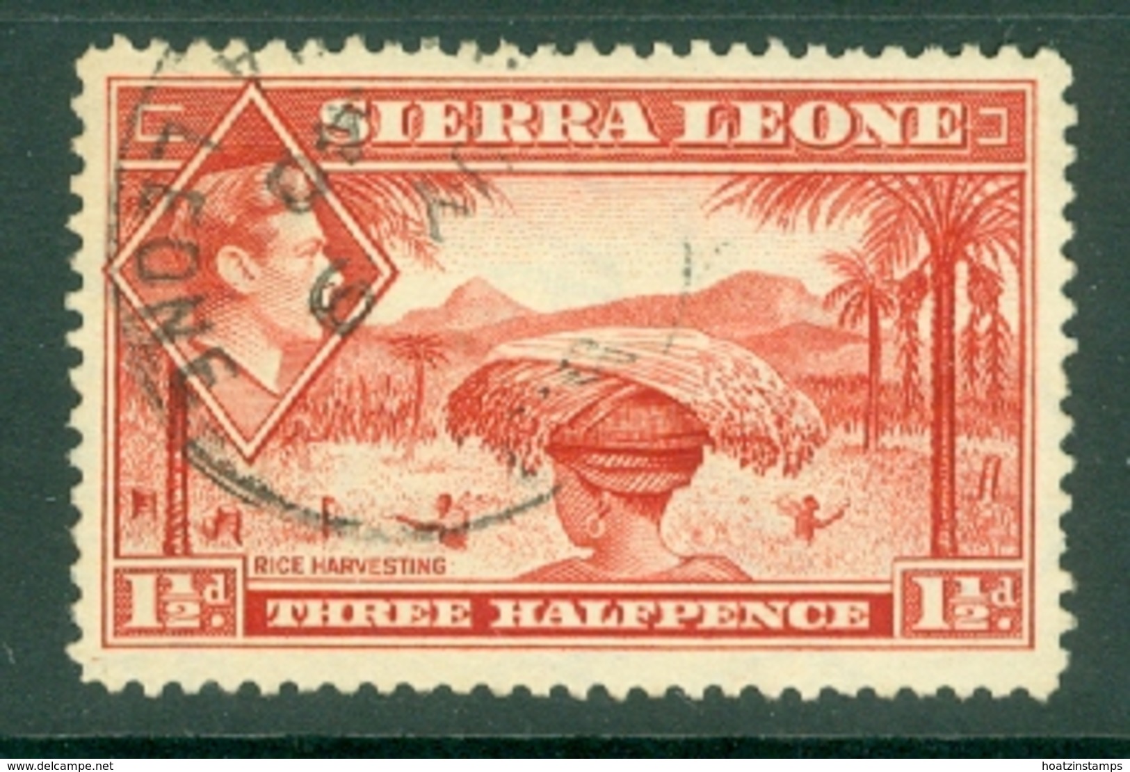 Sierra Leone: 1938/44   KGVI    SG190     1½d   Scarlet   Used - Sierra Leone (...-1960)