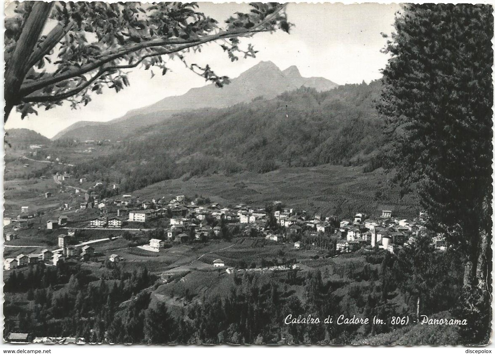 W1895 Calalzo Di Cadore (Belluno) - Panorama / Viaggiata 1962 - Altri & Non Classificati