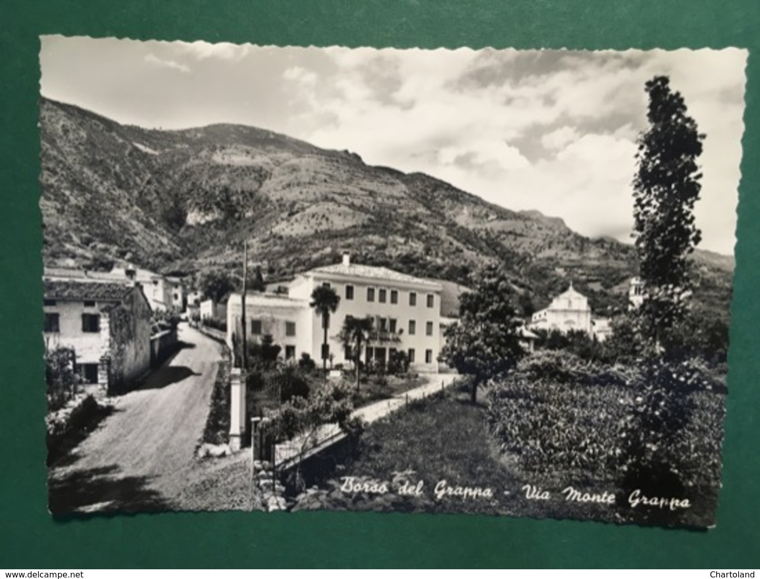 Cartolina Borso Del Grappa - Via Monte Grappa - 1960 Ca. - Treviso