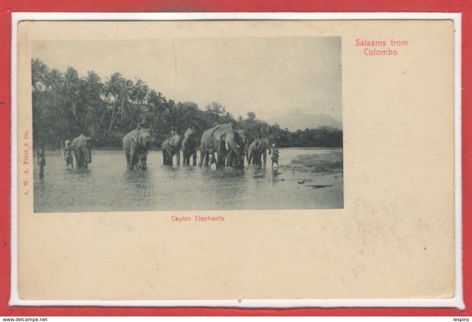 ASIE  - SRI LANKA --  Colombo  - Ceylon Elephant - Sri Lanka (Ceylon)