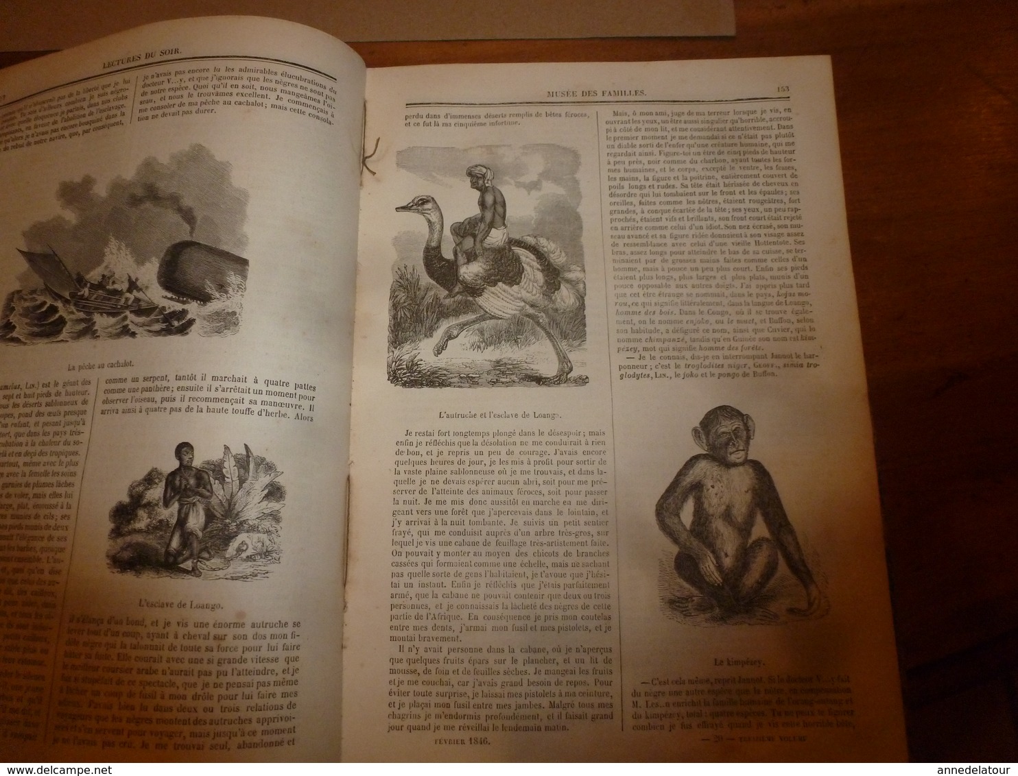 1845-46 MUSEE DES FAMILLES:Histoire de la danse;Histoire des poupées,des marionnettes;Tanger;Venise;Peintre Apelles ;etc