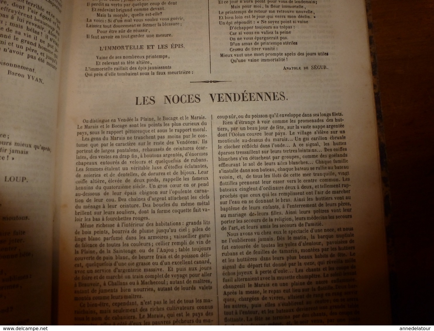 1845-46 MUSEE DES FAMILLES:Histoire de la danse;Histoire des poupées,des marionnettes;Tanger;Venise;Peintre Apelles ;etc