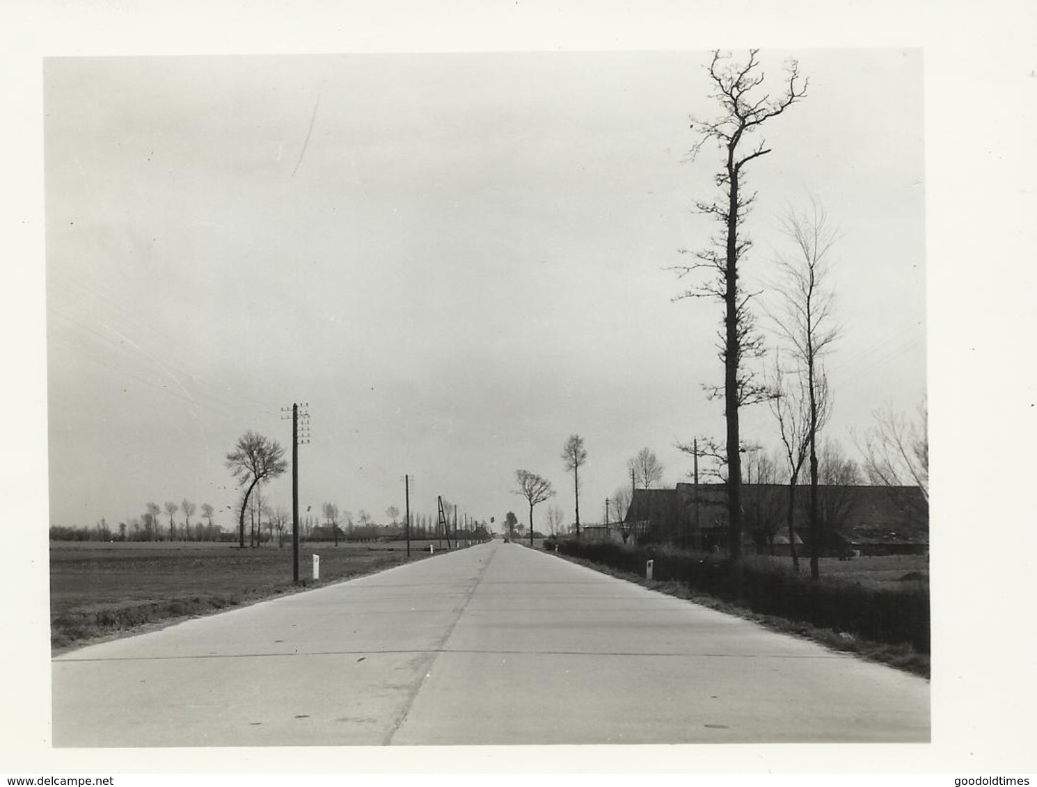 Weg 65 Ieper Veurne Beton Te Hoogstade  (795) - Alveringem