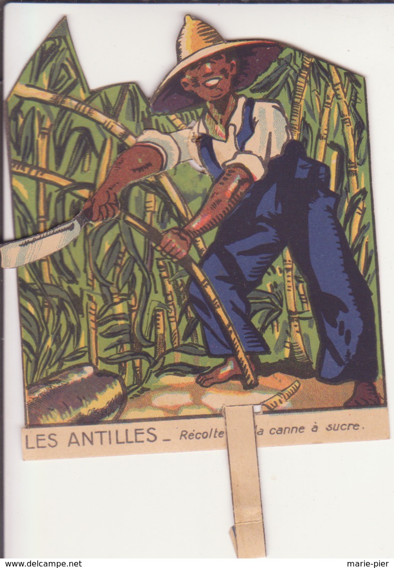 Image Animée "Les Antilles- Récolte De La Canne à Sucre" - Non Classés