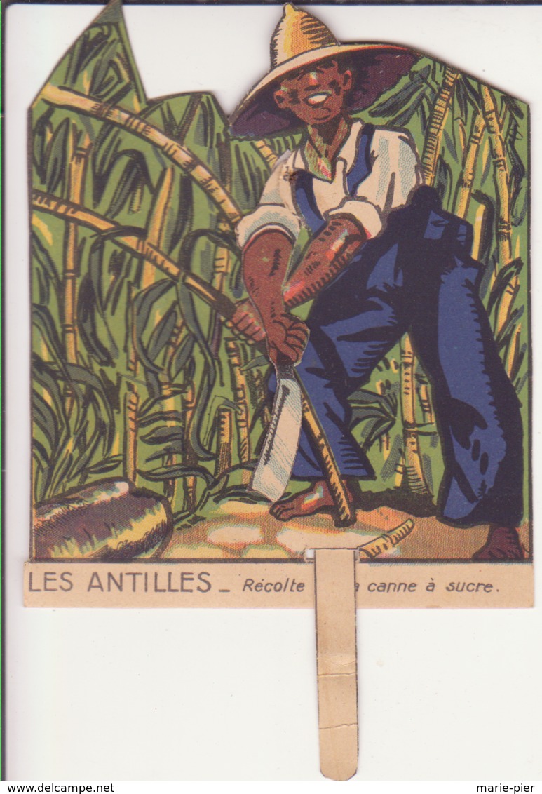 Image Animée "Les Antilles- Récolte De La Canne à Sucre" - Non Classés