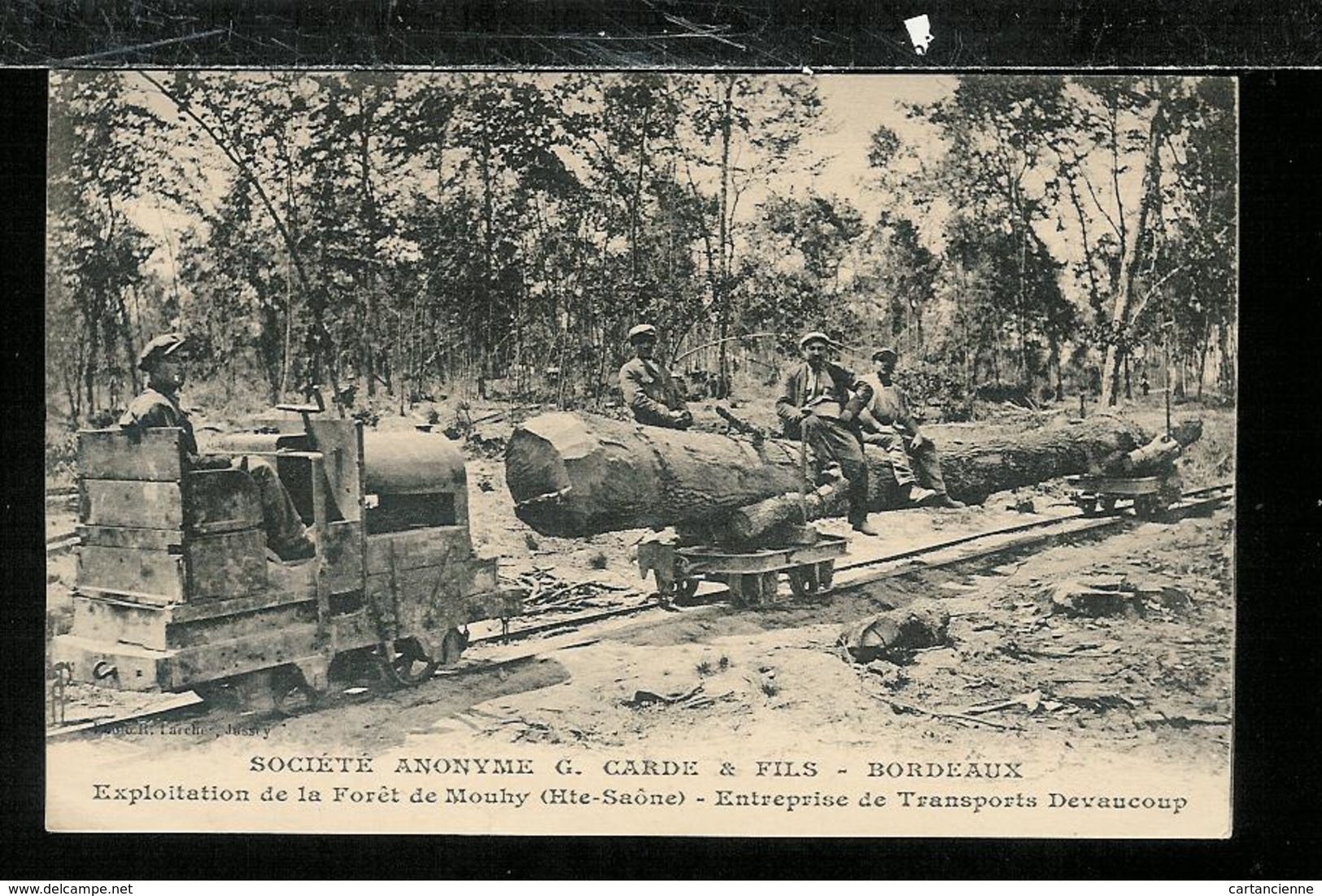 Exploitation De La Forêt De MOUHY - Entreprise Transports Devaucoup - SA Garde BORDEAUX- Train Chemin De Fer Rail - Bois - Autres & Non Classés