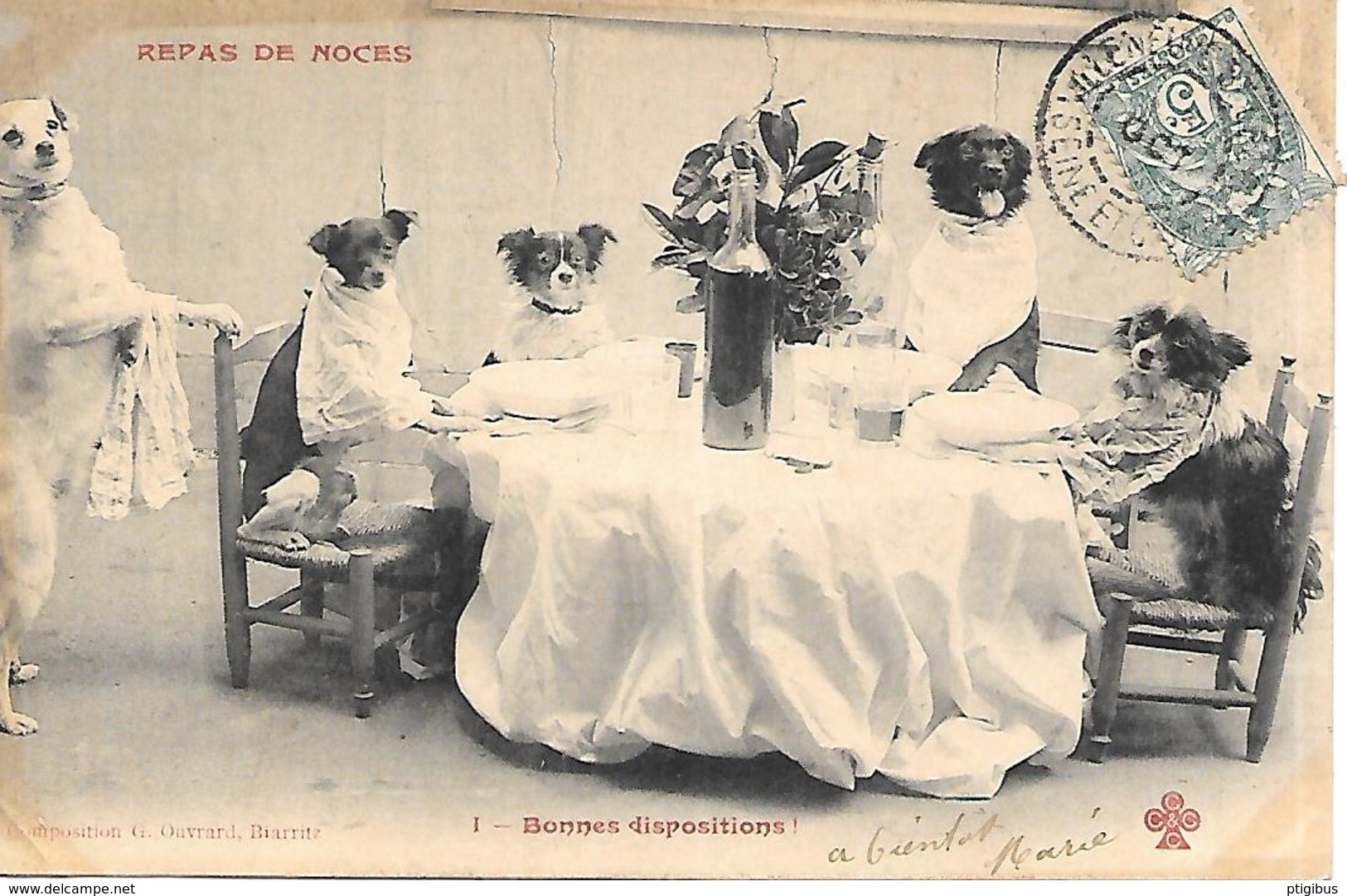 THEME BERGERET REPAS DE NOCES N1 CHIENS HUMANISES - Bergeret