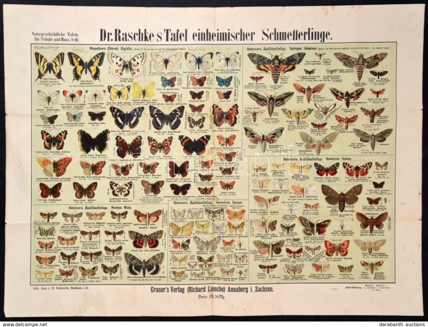 Cca 1900 Pillangók Nagyméretű Litografált Tábla / Butterflies Large Litho Table 76x54 Cm - Estampes & Gravures