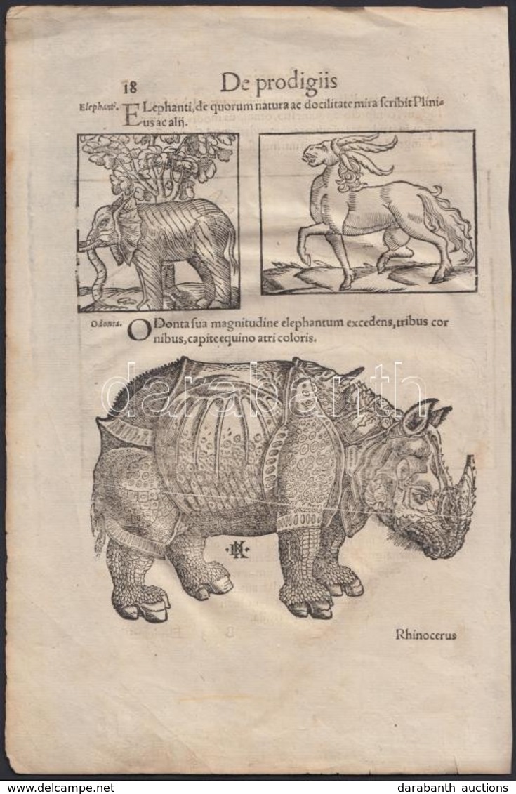 1557 Állatokat ábrázoló Metszetek Conrad Lycosthenes (1518 -- 1561) Prodigiorum Ac Ostentorum Chronicon, Quae Praeter Na - Estampas & Grabados