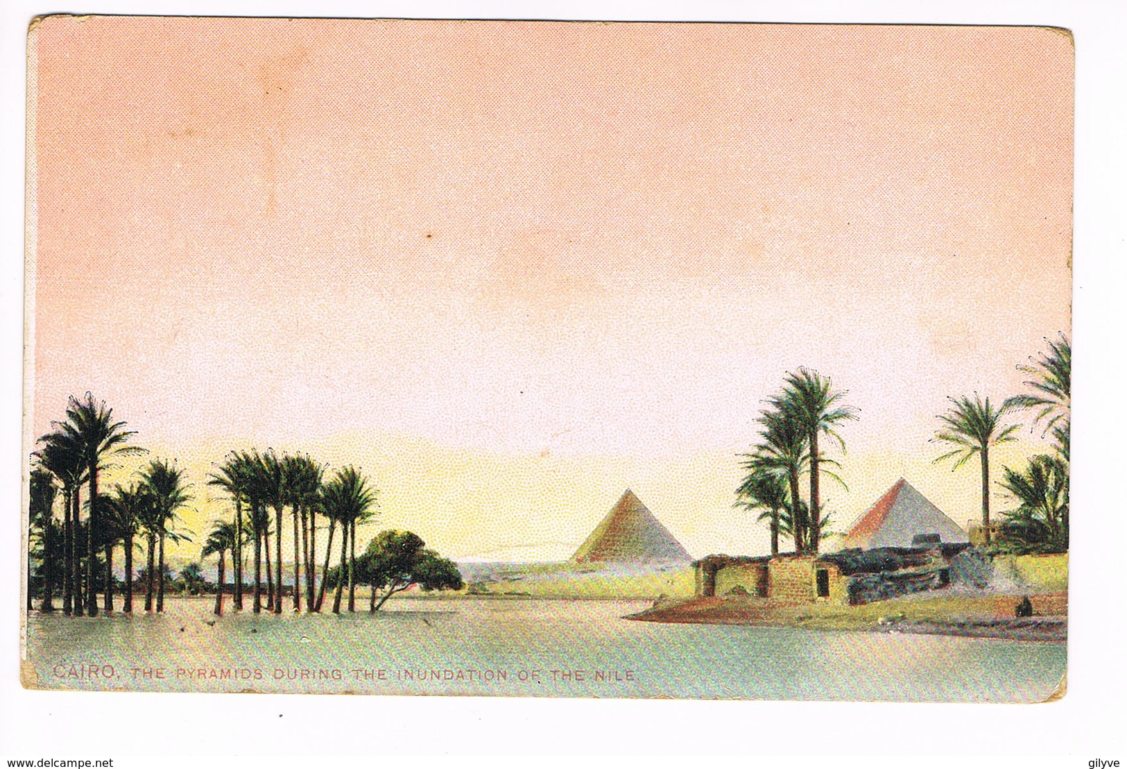 CPA.Egypte.Le Caire. Pyramides During The Inundation Of The Nile. (F.124) - Le Caire