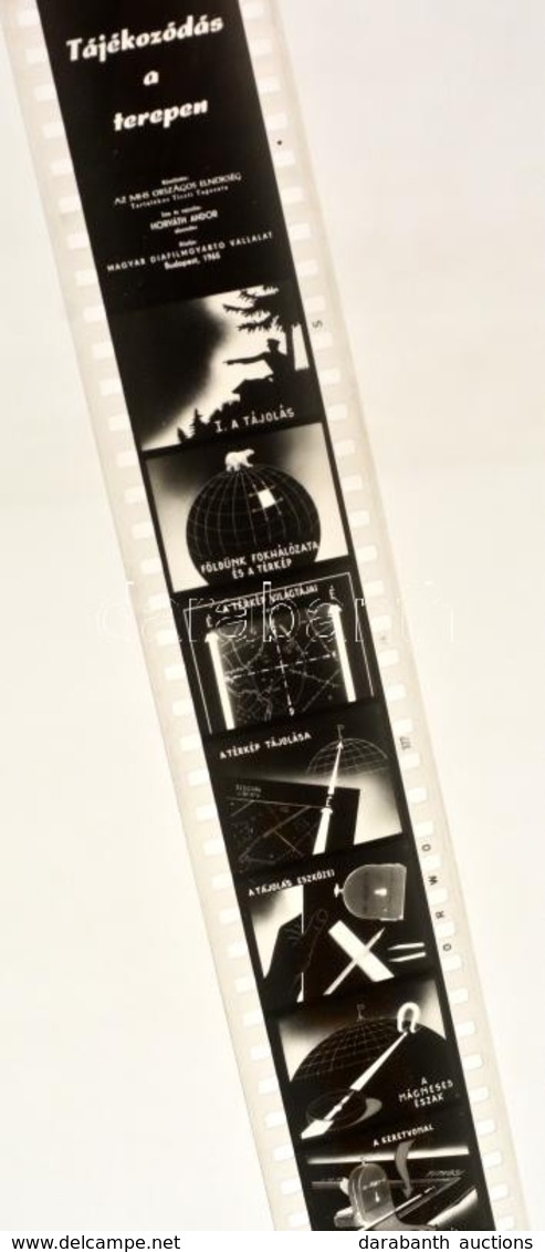 1965 Tájékozódás A Terepen Diafilm Tekercs, Magyar Diafilmgyártó Vállalat, Jó állapotban - Otros & Sin Clasificación