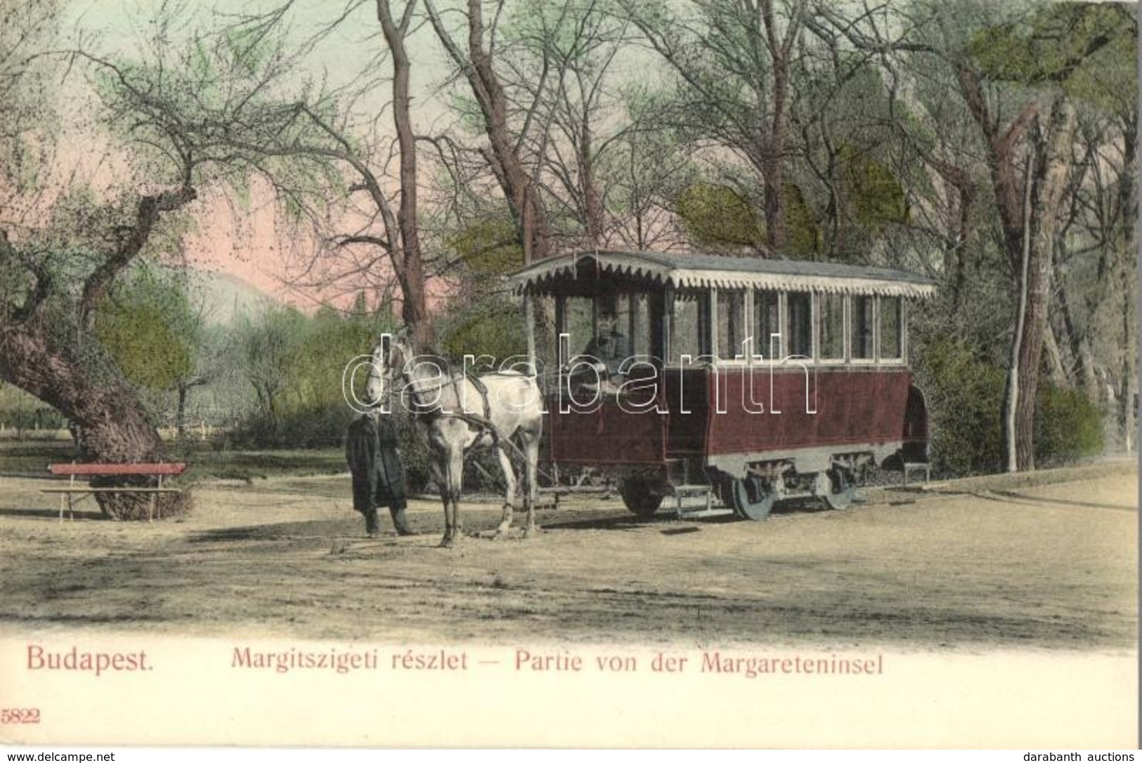 ** T2/T3 Budapest XIII. Margitszigeti Lóvasút. Taussig A. / Partie Von Der Margariteninsel / Horse-drawn Tram (EK) - Non Classés