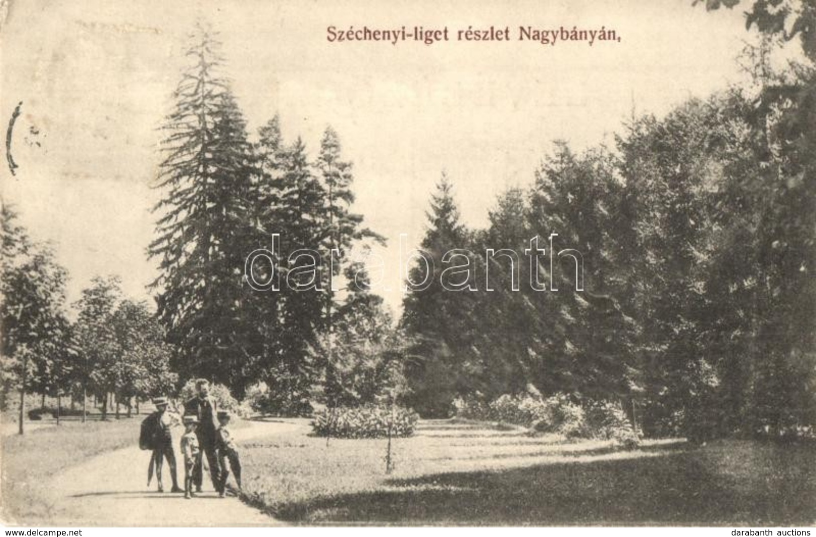 T2/T3 1910 Nagybánya, Baia Mare; Széchenyi Liget. Kiadja Kovács Gyula / Park (EK) - Sin Clasificación