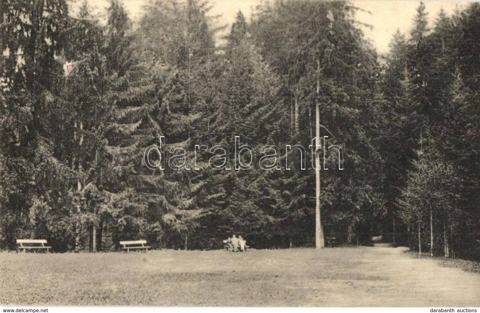 T2 Igló, Zipser Neudorf, Spisská Nová Ves; Iglófüred, Fürdő, Park. L. Jelencsik Nr. 2717. / Park, Spa - Sin Clasificación