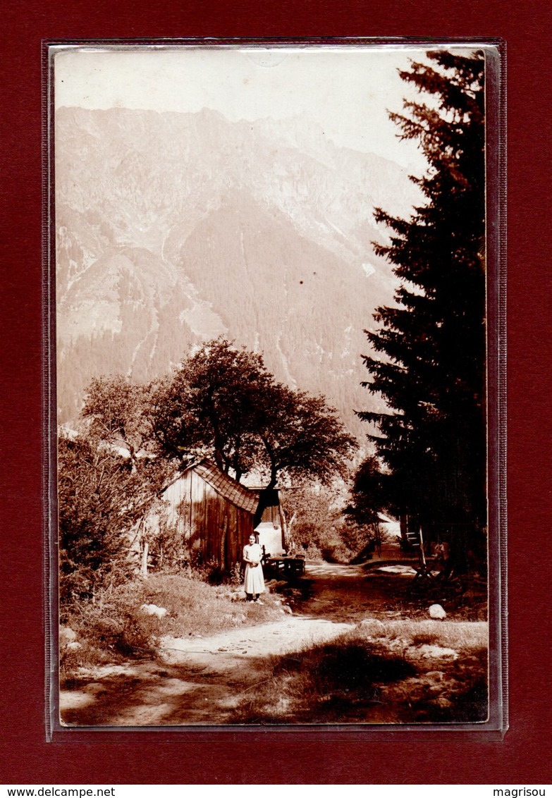 A IDENTIFIER - PAYSAGE DE MONTAGNE - CARTE PHOTO - A Identifier