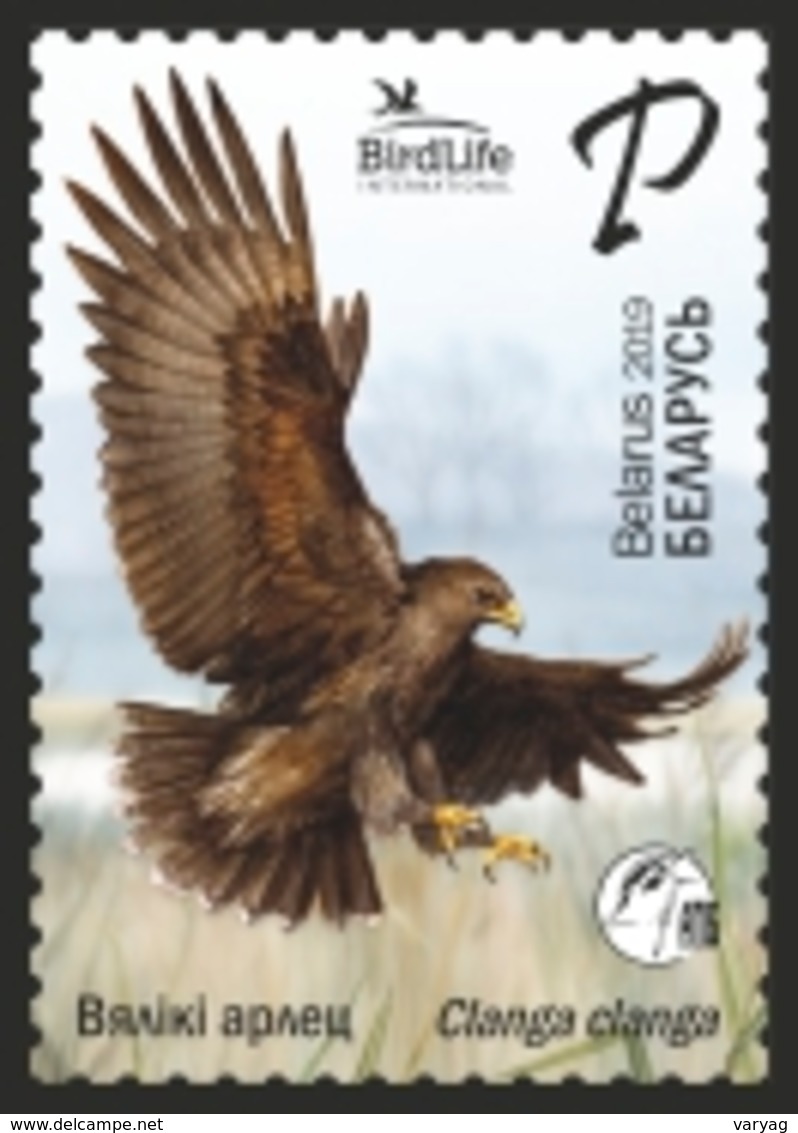 Belarus 2019 Bird Of Year Great Spotted Eagle Birds Fauna 1v MNH - Belarus