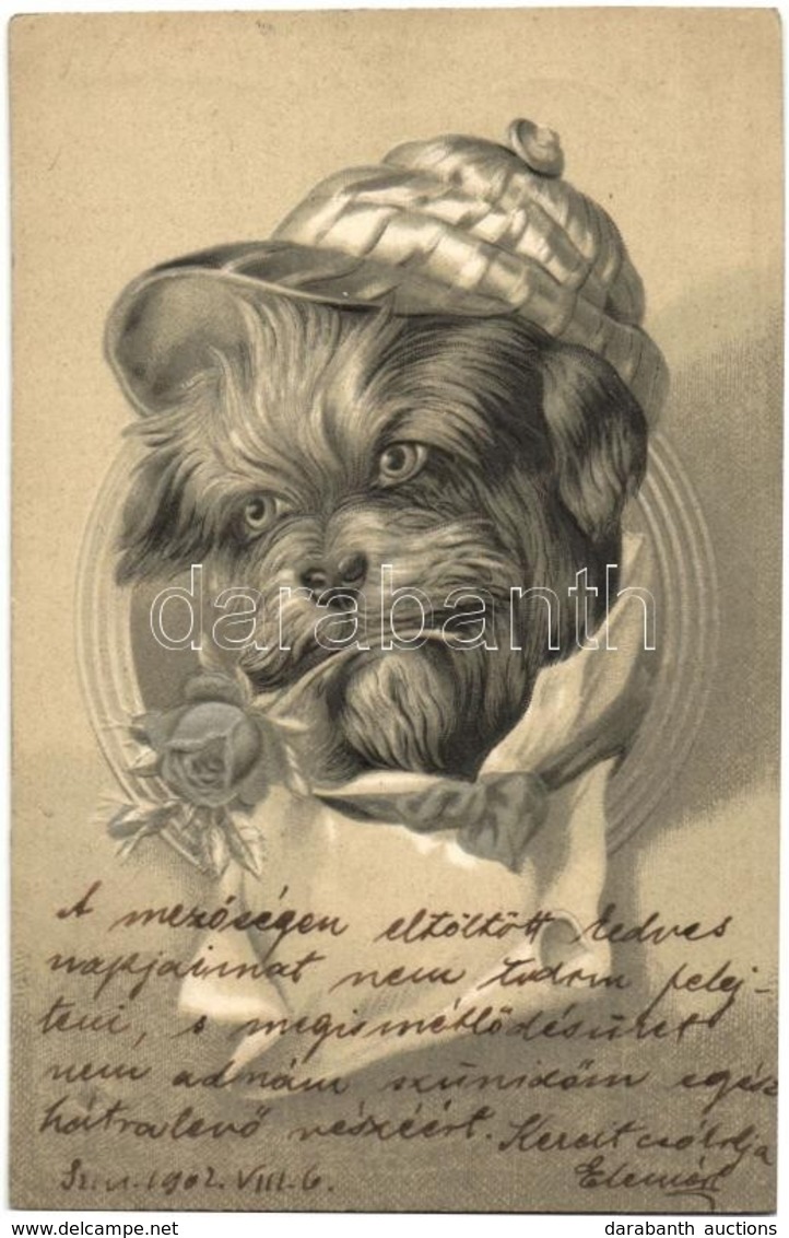 T2/T3 1902 Dog With Rose In His Mouth. Emb. Litho (EK) - Sin Clasificación