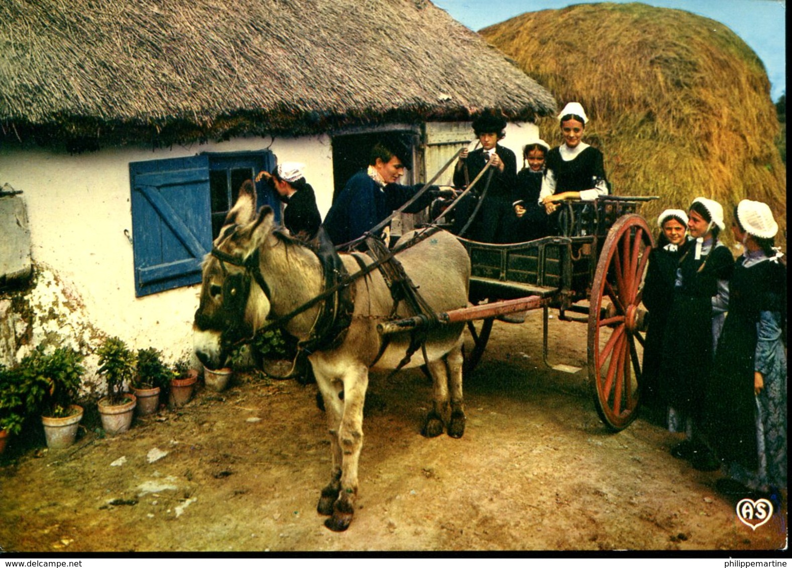 Groupe Folklorique Du Canton De St Jean De Monts - Attelage D'âne - Anes