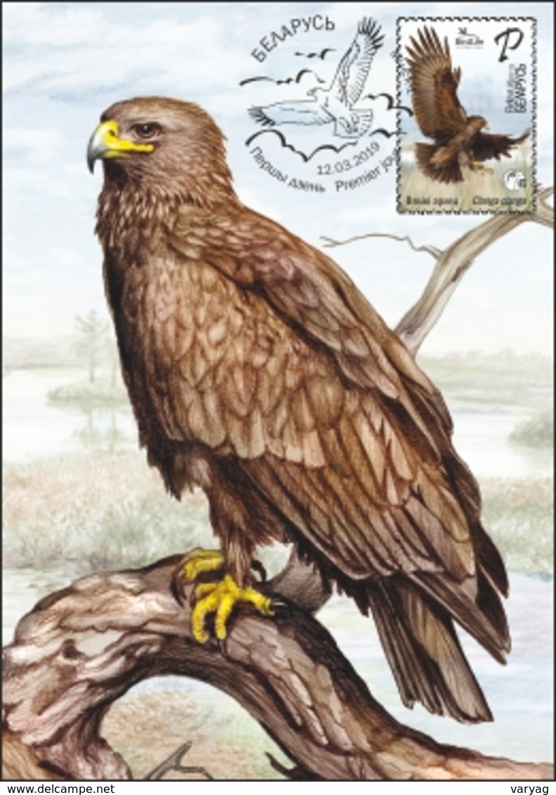 Belarus 2019 Bird Of Year Great Spotted Eagle Birds Fauna MaxiCard MC - Belarus