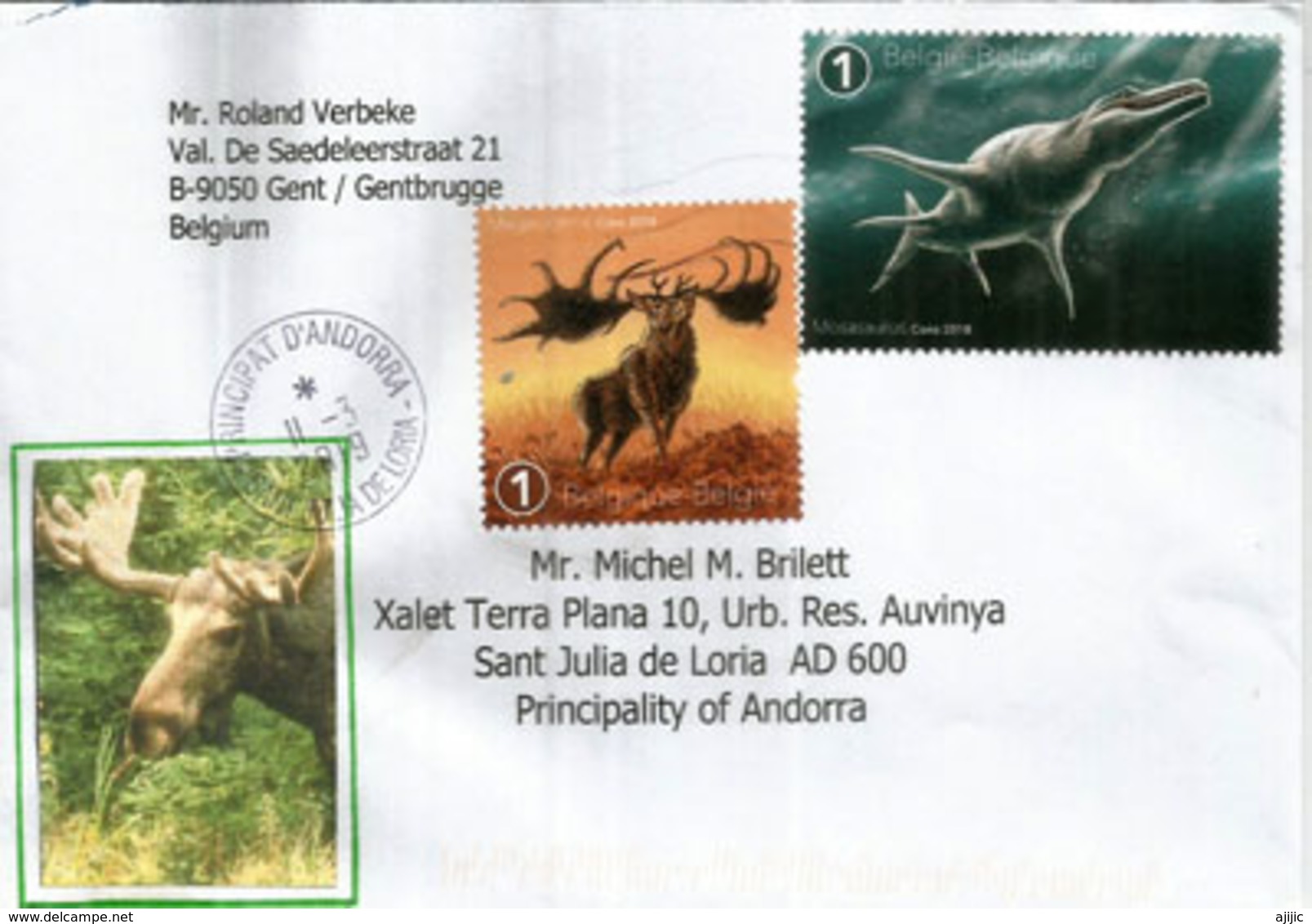 Cerf Géant & Mosasaurus,reptile Marin , Sur Lettre Belgique, Adressée Andorra, Avec Timbre à Date Arrivée - Préhistoriques