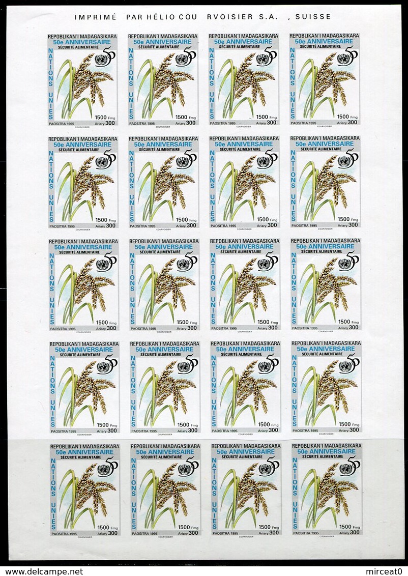 MADAGASCAR  1995  MNH   " 50eme ANNIVERSAIRE NATIONS UNIS / SECURITE ALIMENTAIRE " -  1 FEUILLE NON-DENT. - Madagascar (1960-...)