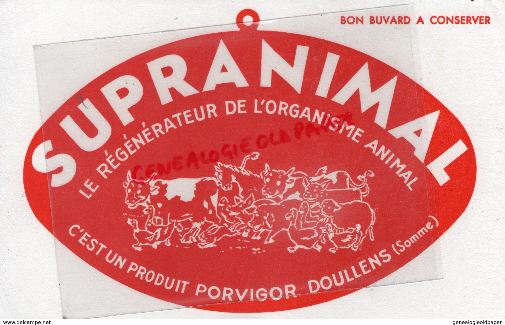 80- DOULLENS- BUVARD SUPRANIMAL PORVIGOR- REGENERATEUR ORGANISME ANIMAL- VACHE COCHON CHEVAL MOUTON CANARD - Drogerie & Apotheke