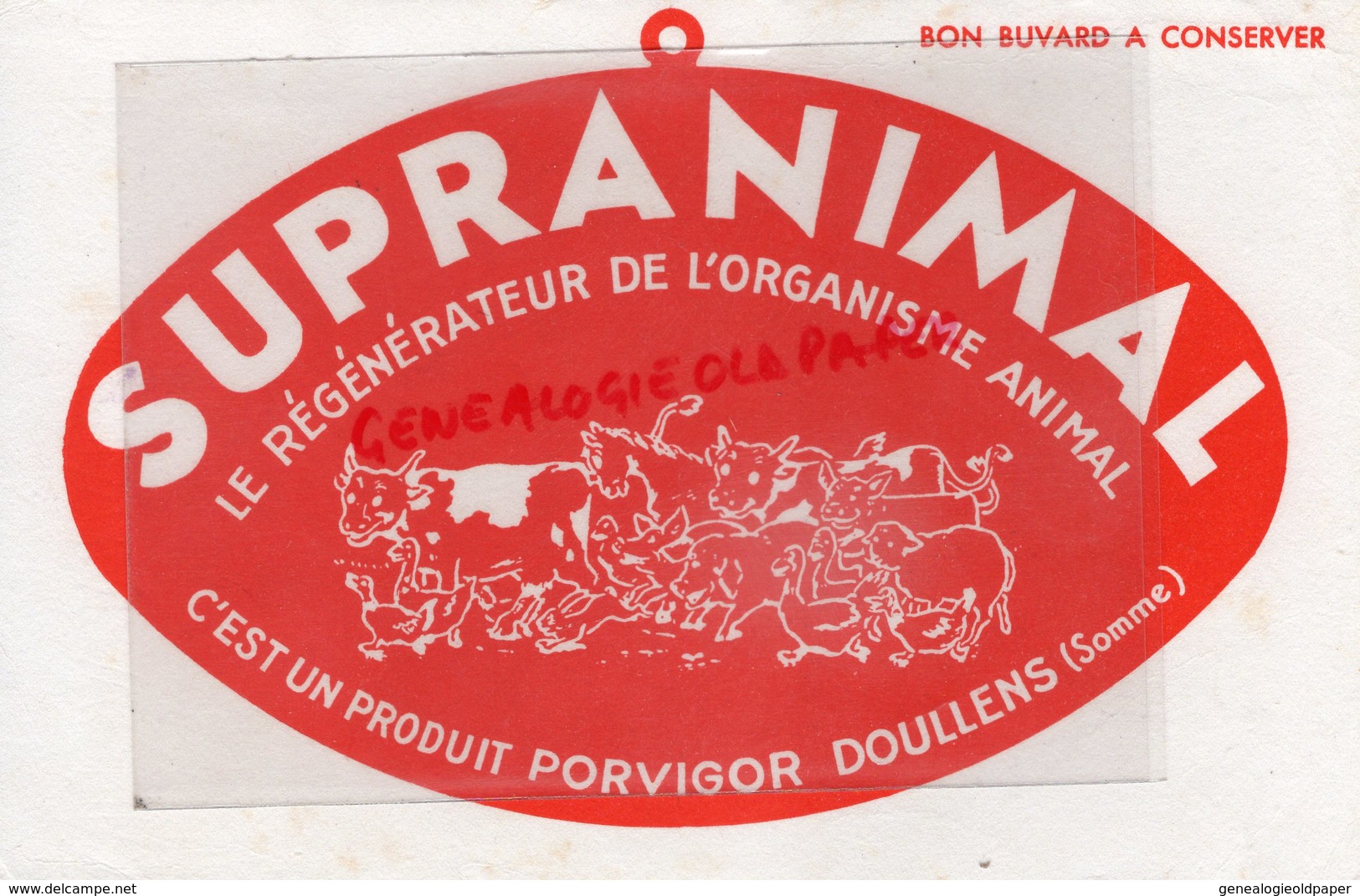 80- DOULLENS- BUVARD SUPRANIMAL PORVIGOR- REGENERATEUR ORGANISME ANIMAL- VACHE COCHON CHEVAL MOUTON CANARD - Chemist's