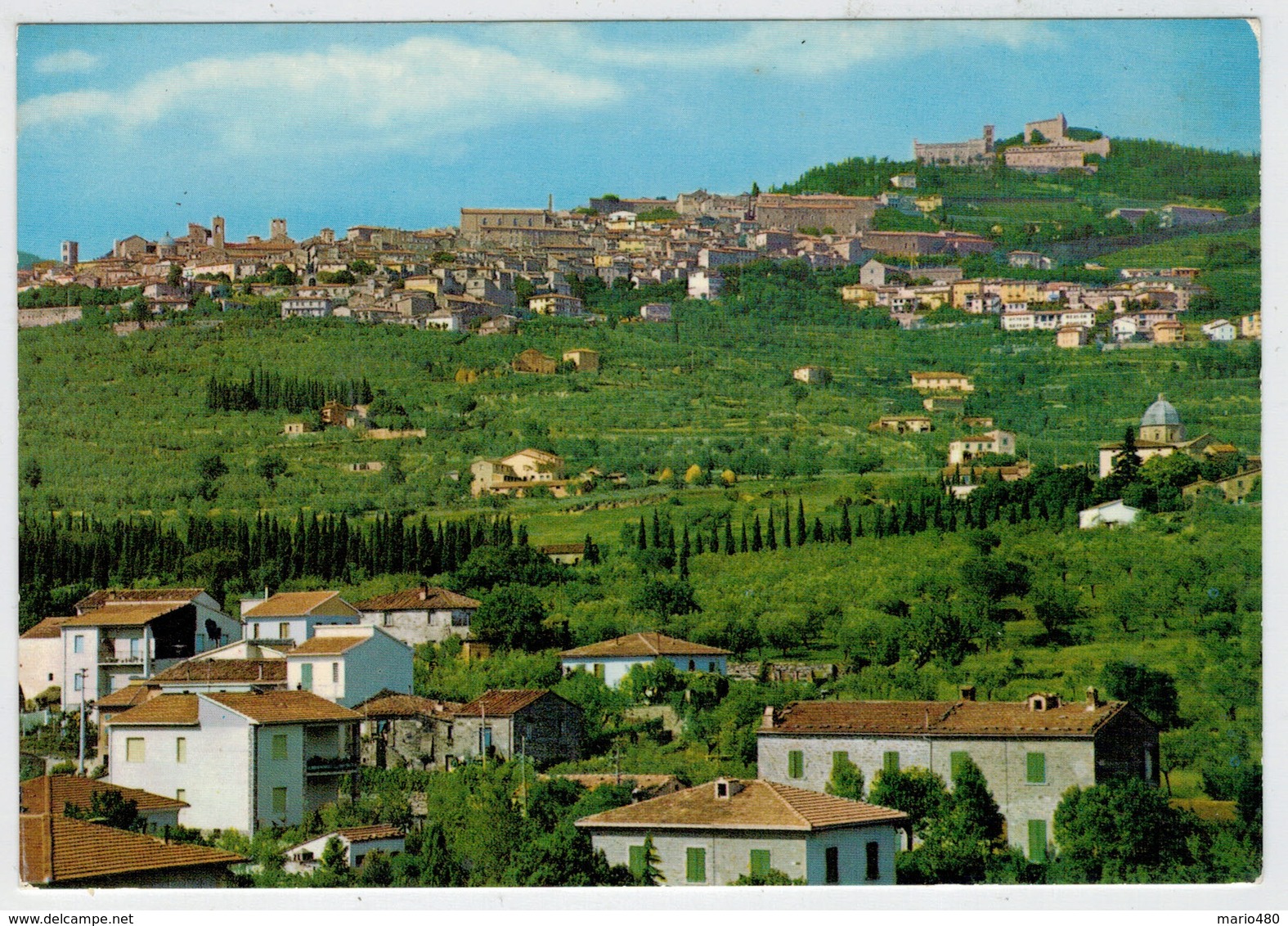 CORTONA  (AR)     PANORAMA               (NUOVA) - Altri & Non Classificati