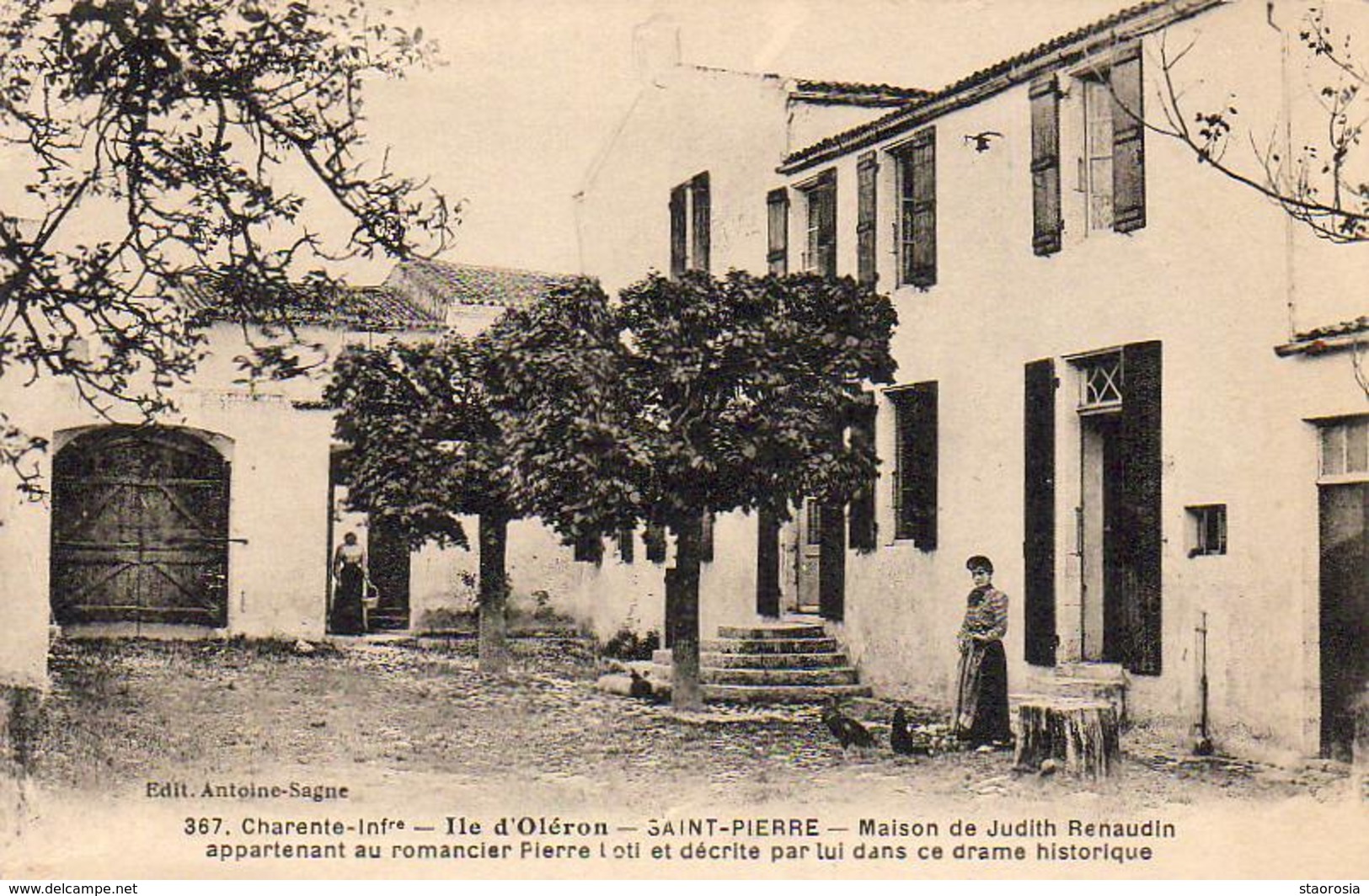 D17  ILE D' OLERON   ST PIERRE D'OLERON Maison De Judith Renaudin - Saint-Pierre-d'Oleron